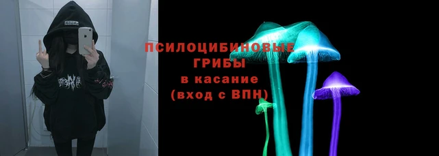амф Медвежьегорск