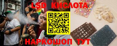 крисы Кинель