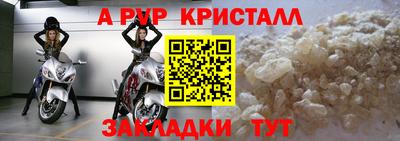крисы Кинель