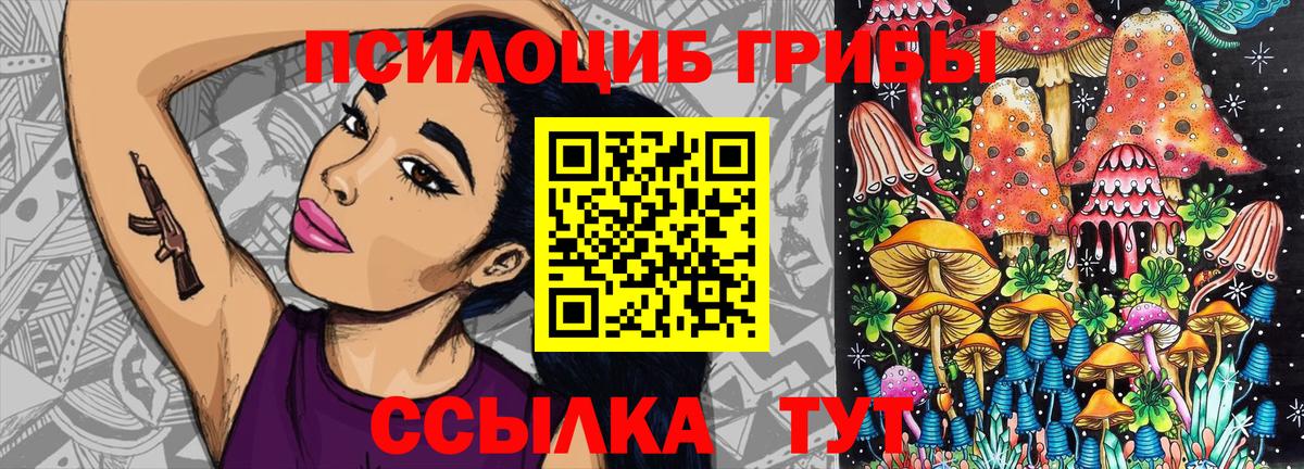 Туапсе  Галлюциногенные грибы Psilocybine cubensis  Вход с VPN 