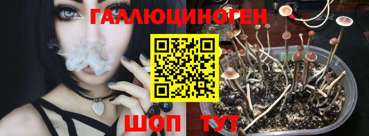 Галлюциногенные грибы прущие грибы Туапсе
